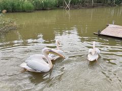 -宁波杭州湾国家湿地公园