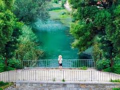 -杏花樓(大世界店)