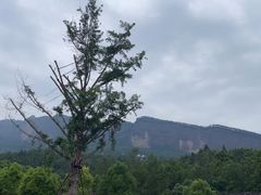 -剑门关风景区