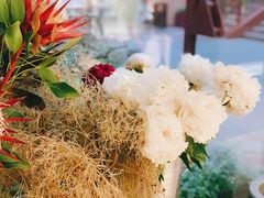 -二酉书店TOYOU BOOKS