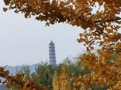 -北坞公园