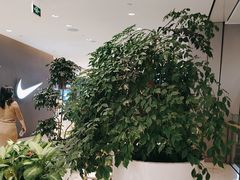 -THE WOODS 简餐 (国贸商城店)