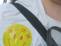 -白洋淀景区