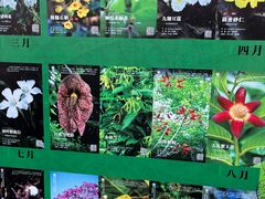 -中国科学院西双版纳热带植物园
