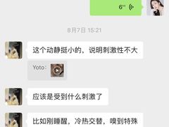 -lincat·猫舍(广州店)