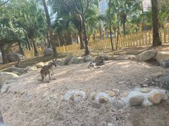 -灵玲国际马戏城