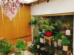 -蝶舍·MAISON PAPILLON