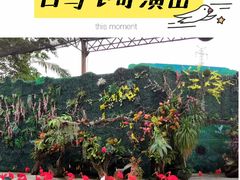 -广州长隆飞鸟乐园