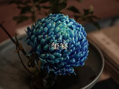 -翕间食·精致淮扬菜(江苏大剧院店)