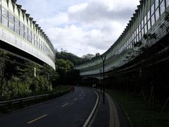 -深圳仙湖植物园