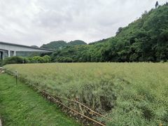 -贵阳市花溪国家城市湿地公园