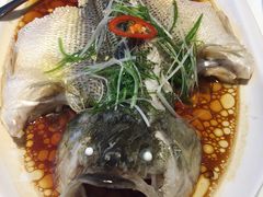 -至潮餐厅精致粤菜·活鲈鱼·走地鸡(珠江新城店)