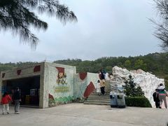 -广东惠东海龟国家级自然保护区