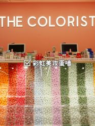 -THE COLORIST调色师