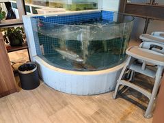 -至尊鲨鱼·原烹海鲜·新浙菜(拱宸桥店)