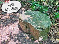 -午潮山国家森林公园