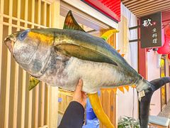 -镹·鱼料理  国产鱼使用店