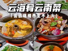 -云海肴·汽锅鸡·云南菜(高德置地店)