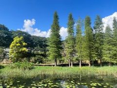 -广州市石门国家森林公园