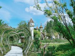 -东平国家森林公园