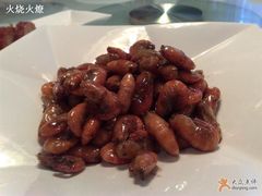 油爆河虾-福1039(愚园路店)
