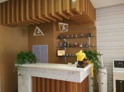 -苗方清颜专业祛痘养生