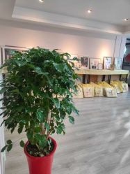 -昆山米奇儿童摄影(柏庐广场店)