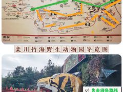 -栾川竹海野生动物园