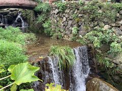 -藏龙百瀑风景区