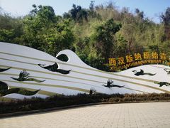 -西双版纳原始森林公园