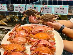 -珊海荟海鲜楼·天津菜·海肠捞饭·皮皮虾锅贴王(佛罗伦萨店)