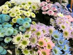 -循礼门鲜花花市(武汉循礼门店)