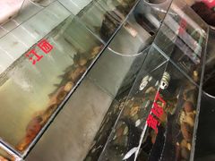 -长生鱼·鲜鱼房(U城店)