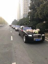 -蚂蚁婚车
