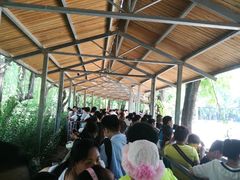 -泰安地下龙宫景区