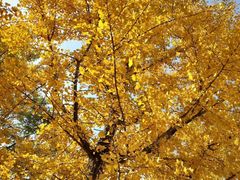 -辽东学院(南校区)