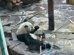 -济南野生动物世界