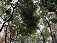 -飞马旅黎黄陂路文旅街区
