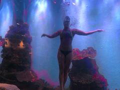 -瑞德姆美人鱼海底演艺主题餐厅(亚龙湾店)