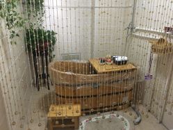 -产后帮产后修复(首城国际店)