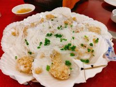 -鸿达渔港