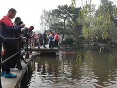 -西湖外事游船(花港观鱼码头)