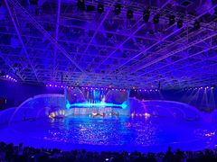 -海合安青岛极地海洋公园