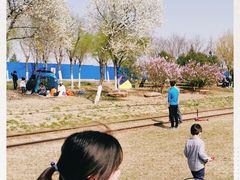 -永定河休闲森林公园