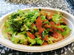 -油梨树AVOCADO TREE(顺义新国展店)