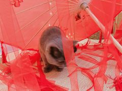 -第三空间·趣味桌游·轰趴.室内CS.剧本杀(大武汉1911店)