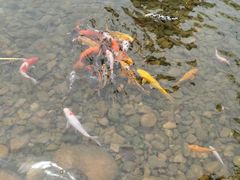 -厦门方特东方神画