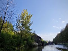 -黄海国家森林公园