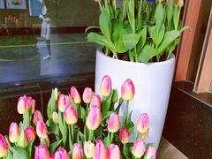 -杭州市第一人民医院(湖滨院区)