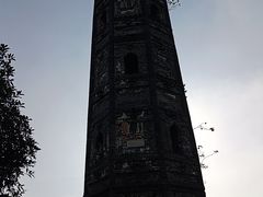 -上海佘山国家森林公园天马山园